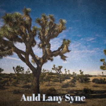 Various Artists - Auld Lany Syne