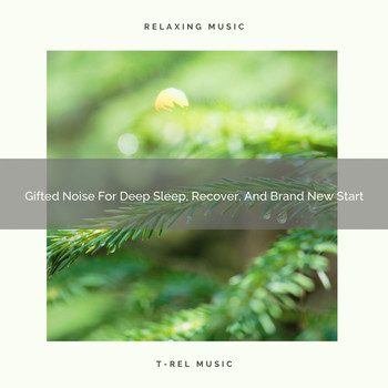 White Noise Nature Sounds Baby Sleep, The Healing Power Of Granular Sound - Gifted Noise For Deep Sleep, Recover, And Brand New Start