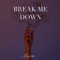 lice - Break Me Down