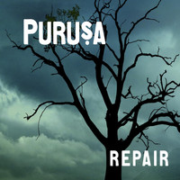 Purusa - Repair