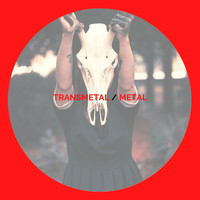 Transmetal - Metal