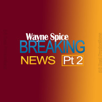 Wayne Spice - Breaking News Part 2