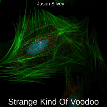 Jason Silvey - Strange Kind of Voodoo