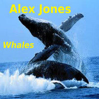 Alex Jones - Whales