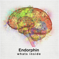 endorphin - What's Inside
