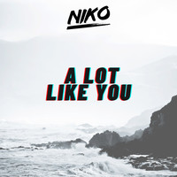 NIKO / - A Lot Like You (Instrumental)