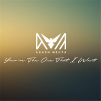 Akash Mehta - You're the One That I Want