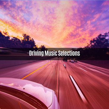 Various Artists - DRIVING MUSIC SELECTIONS
