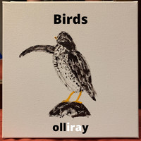 olliray / - Birds