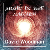 David Woodman / - Music in the Madness