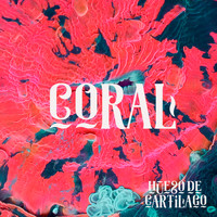 Coral - Hueso de Cartílago