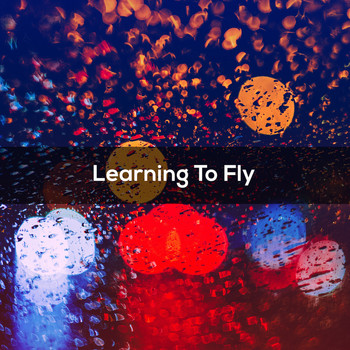 Various Artists - LEARNING TO FLY