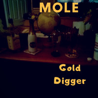 Mole - Gold Digger (Explicit)