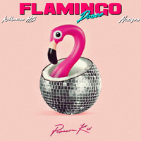 Popcorn Kid / - Flamingo Dance