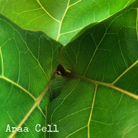 Araa / - Cell