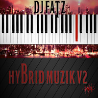 DJ Fatz - Hybrid Muzik V2