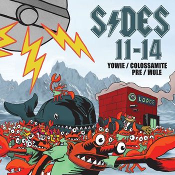 Various Artists - Sides 11-14