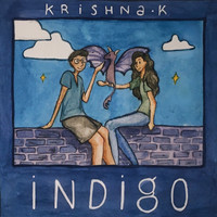 Krishna.K - Indigo