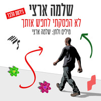 Shlomo Artzi - לא הפסקתי לחפש אותך (גרסת הלבד)