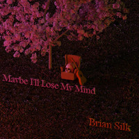 Brian Silk / - Maybe I'll Lose My Mind