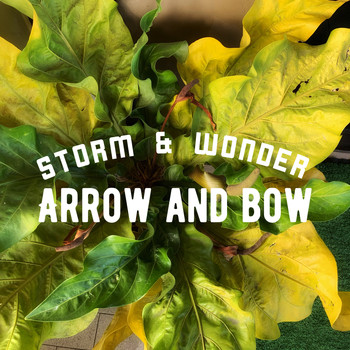 Storm & Wonder / - Arrow and Bow