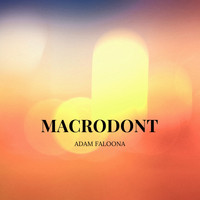 Adam Faloona - Macrodont