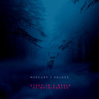 Mercury and Solace / - Stuck in a World of Nothingness