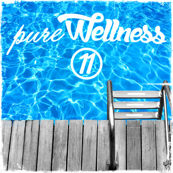 Various Artists - Pure Wellness, Vol. 11