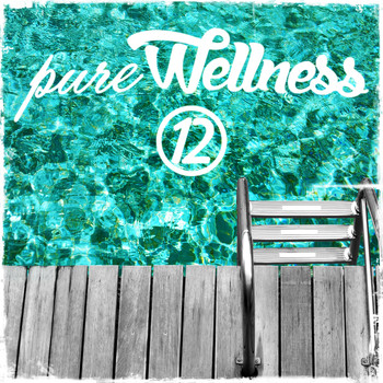 Various Artists - Pure Wellness, Vol. 12