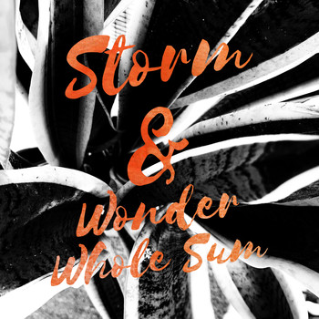 Storm & Wonder / - Whole Sum