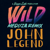 John Legend - Wild (MEDUZA Remix)