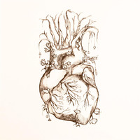 Chris Avetta - Oh My Heart - EP
