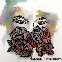 Mr. Moon - Begonia