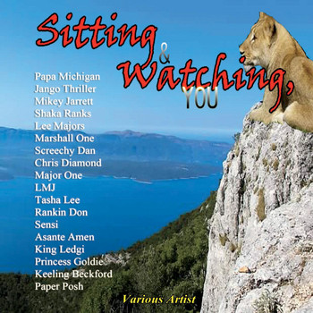 Various Artists - Sitting and Watching, You