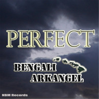 Bengali Arkangel - Perfect