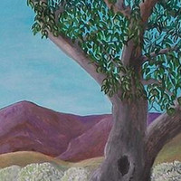 Charlie Sayles - New Day Coming