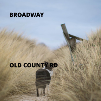 Broadway - Old County Rd