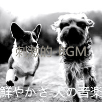 鮮やかさ 犬の音楽 - 刺激的-BGM