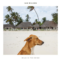 Ian Wilson - Wild Is the Wind