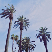 David Hughes - Another Day in Paradise (feat. Ben Thomas)