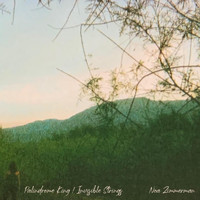 Noa Zimmerman - Palindrome King / Invisible Strings