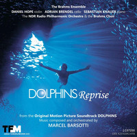 Marcel Barsotti - Dolphins (Reprise)