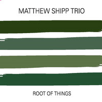 Matthew Shipp Trio - Root of Things