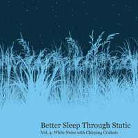 Better Sleep Through Static - White Noise With Chirping Crickets