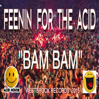 Bam Bam - Feenin for the Acid