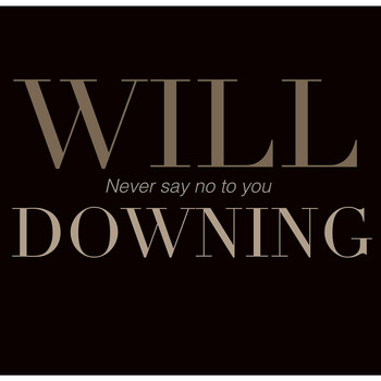 Will Downing - Never Say No to You