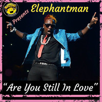 Elephant Man, Massive B - Are You Still In Love
