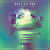 Andy Villa - Missing You