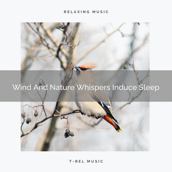 Baby Sleep Music - Wind And Nature Whispers Induce Sleep