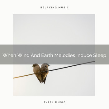 Baby Sleep Music - When Wind And Earth Melodies Induce Sleep